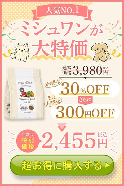 ミシュワン大特価！